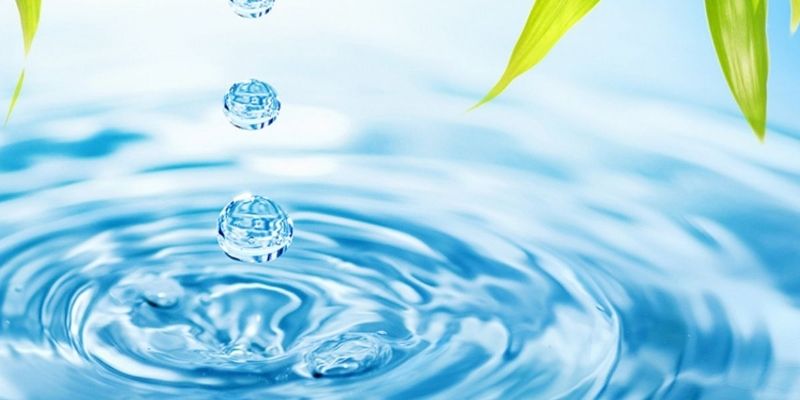 Quy trình làm sạch mồi tươi trước khi sử dụng