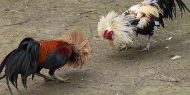 Hệ thống luôn minh bạch trong quá trình trả thưởng