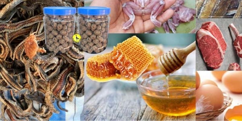 Các loại mồi cho đá gà giàu protein không thể thiếu
