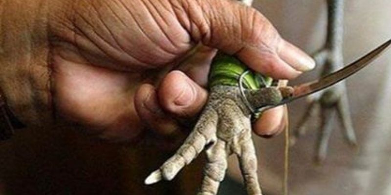 Tiền thưởng được chi trả ngay trong tích tắc